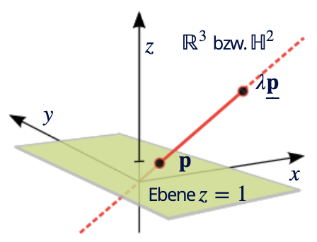 image-20220301131739751